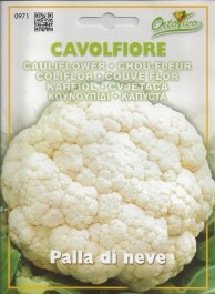 CAULIFLOWER PALLA DI NEVE SEEDS ΣΠΟΡΟΙ ΚΟΥΝΟΥΠΙΔΙ Palla di Neve
