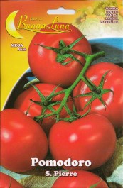 TOMATO S PIERRE SEEDS ΣΠΟΡΟΙ NTOMATA S PIERRE