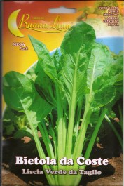 SWISS CHARD LISCIA VERDE DA TAGLIO SEEDS ΣΠΟΡΟΙ ΣΕΣΚΛΟΥΛΟ LISCIA VERDE DA TAGLIO